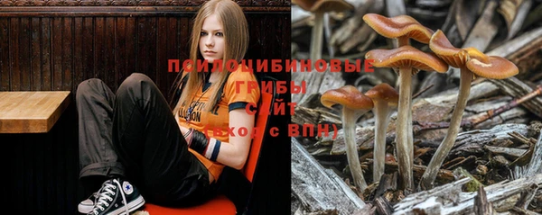 кокаин VHQ Дмитриев