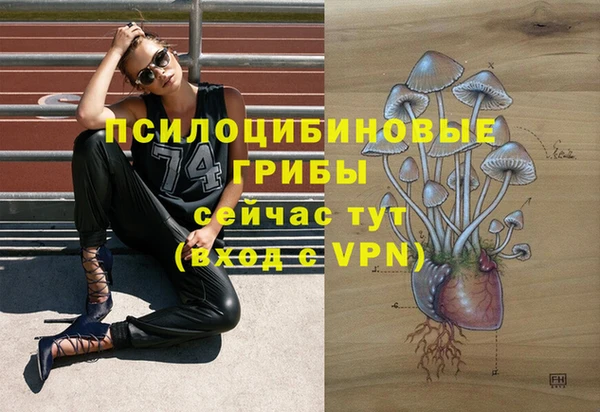 мдпв Гусиноозёрск