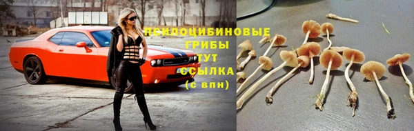 первитин Дмитров